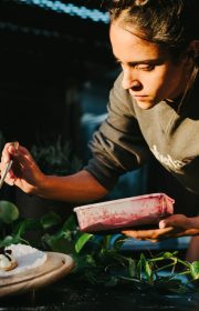 קינוח וברז בירה מצפה רמון